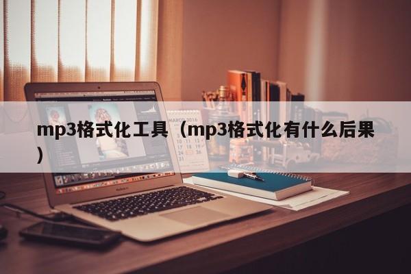 mp3格式化工具（mp3格式化有什么后果）