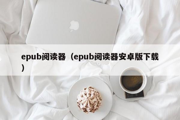 epub阅读器（epub阅读器安卓版下载）