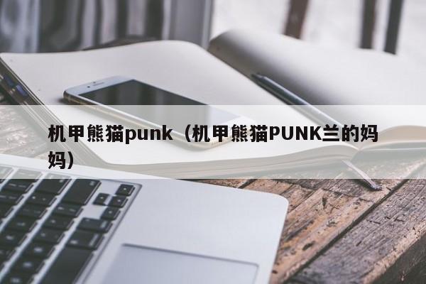 机甲熊猫punk（机甲熊猫PUNK兰的妈妈）
