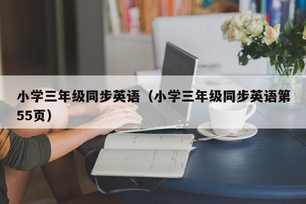 小学三年级同步英语（小学三年级同步英语第55页）