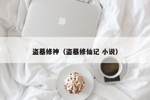 盗墓修神（盗墓修仙记 小说）