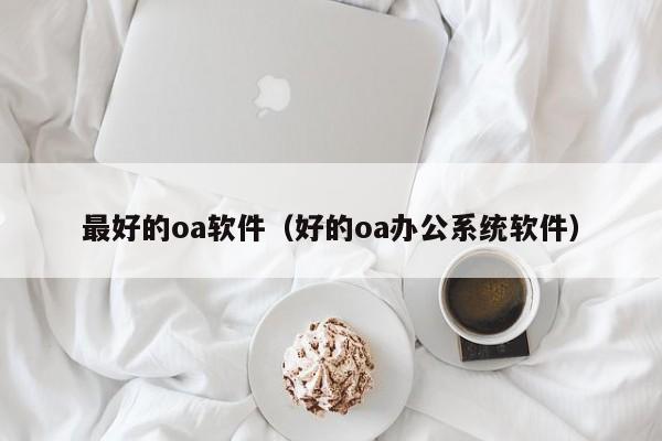 最好的oa软件（好的oa办公系统软件）