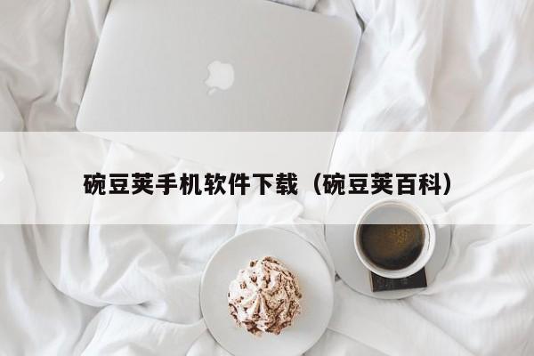 碗豆荚手机软件下载（碗豆荚百科）