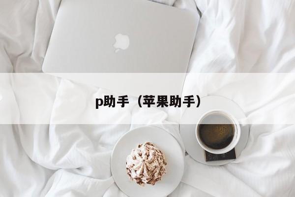 p助手（苹果助手）