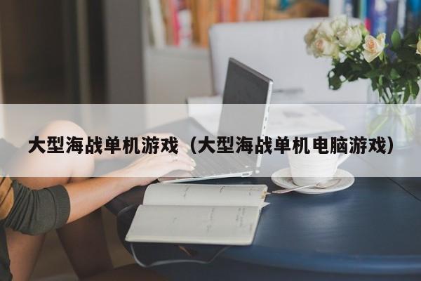 大型海战单机游戏（大型海战单机电脑游戏）