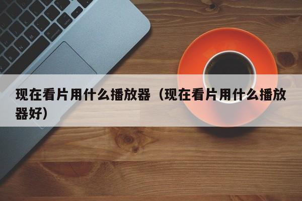 现在看片用什么播放器（现在看片用什么播放器好）