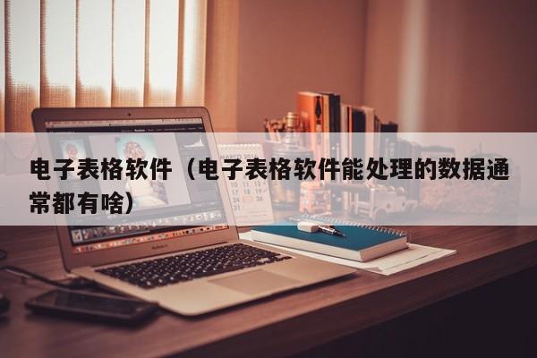 电子表格软件（电子表格软件能处理的数据通常都有啥）